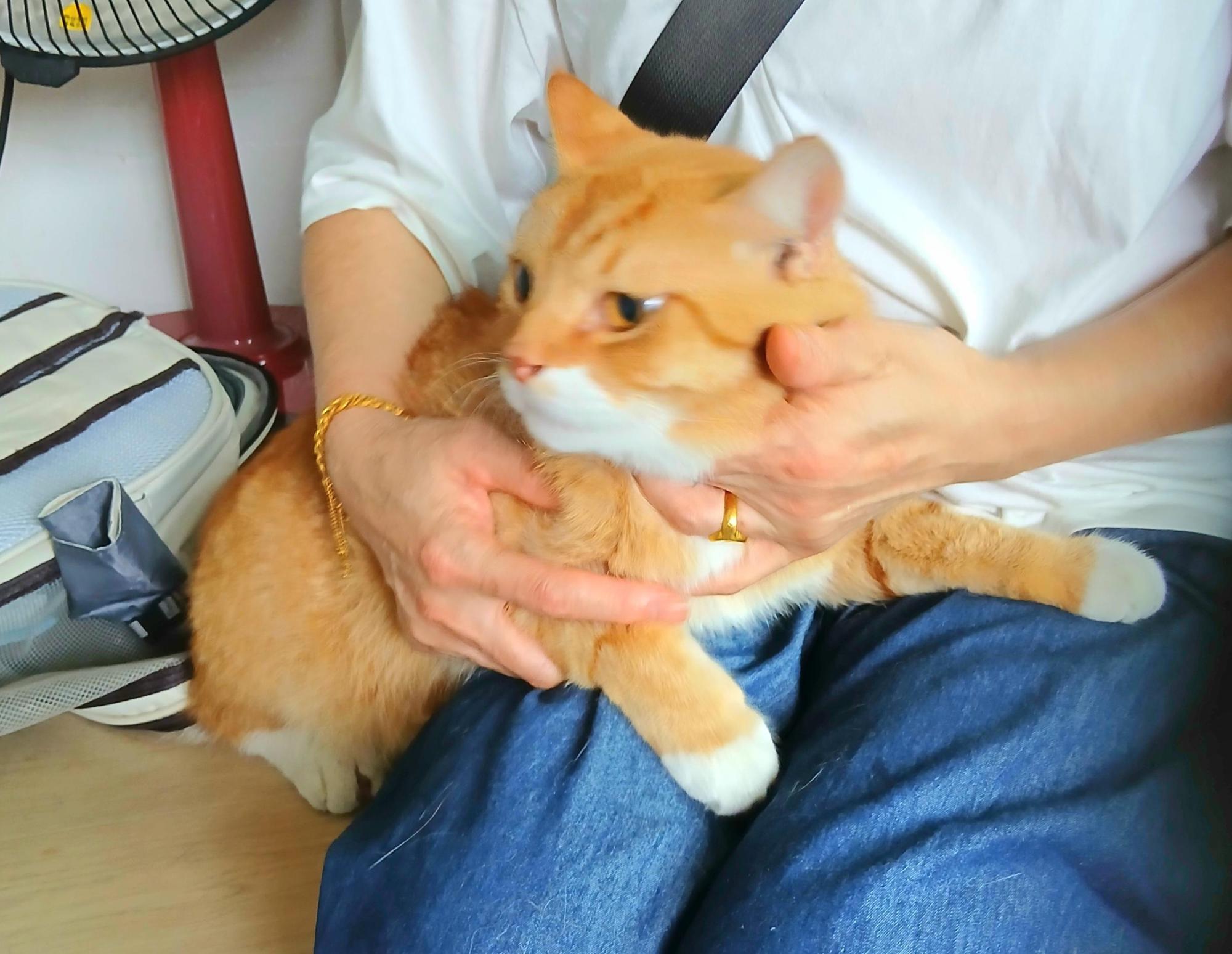금왕동물병원_443447202501008